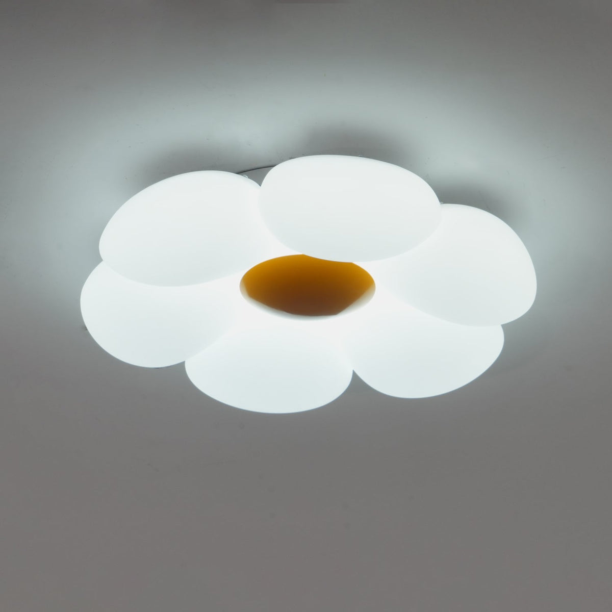 Six - leaf Flower Kids Room Ceiling Lamp