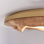 Sky Lake Ceiling Lamp