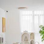 Soluna Ceiling Light