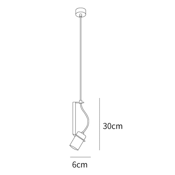 Industrial Spot Pendant Lamp