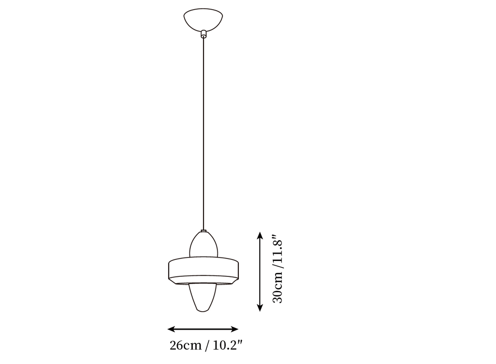 Swan Pendant Lamp