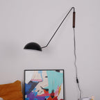 Swing Dome Wall Light