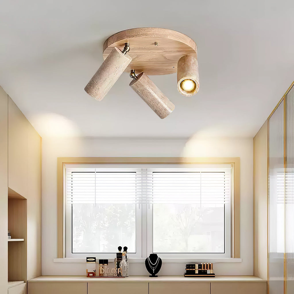 Terra Beam Ceiling Light