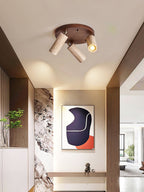 Terra Beam Ceiling Light