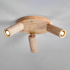 Terra Beam Ceiling Light