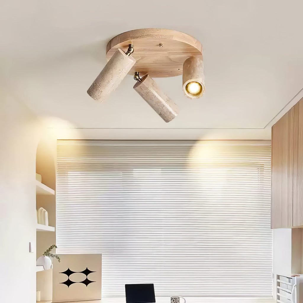 Terra Beam Ceiling Light