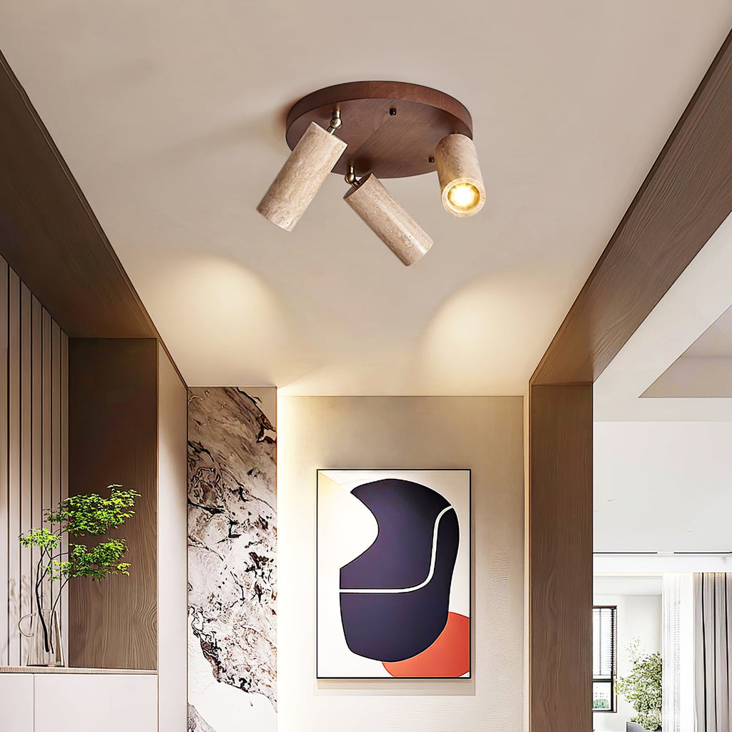 Terra Beam Ceiling Light