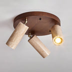 Terra Beam Ceiling Light