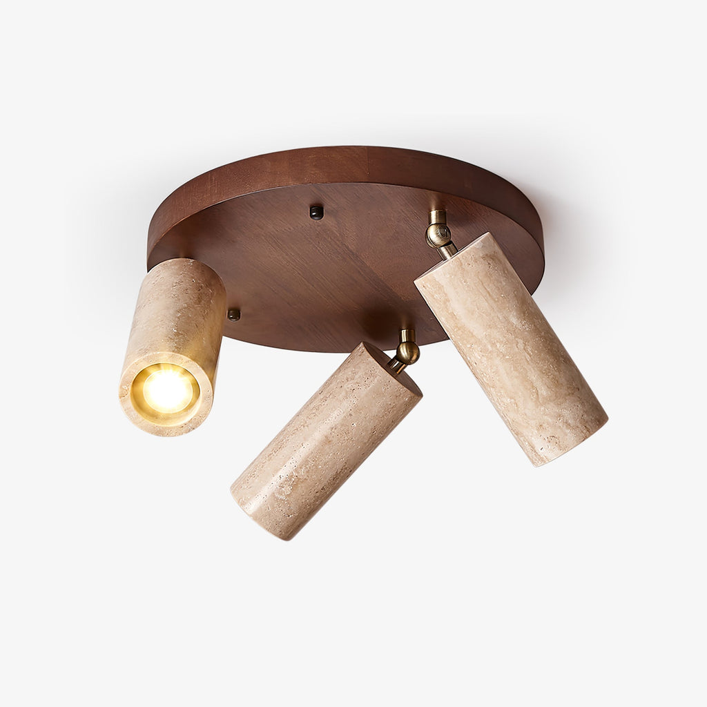 Terra Beam Ceiling Light