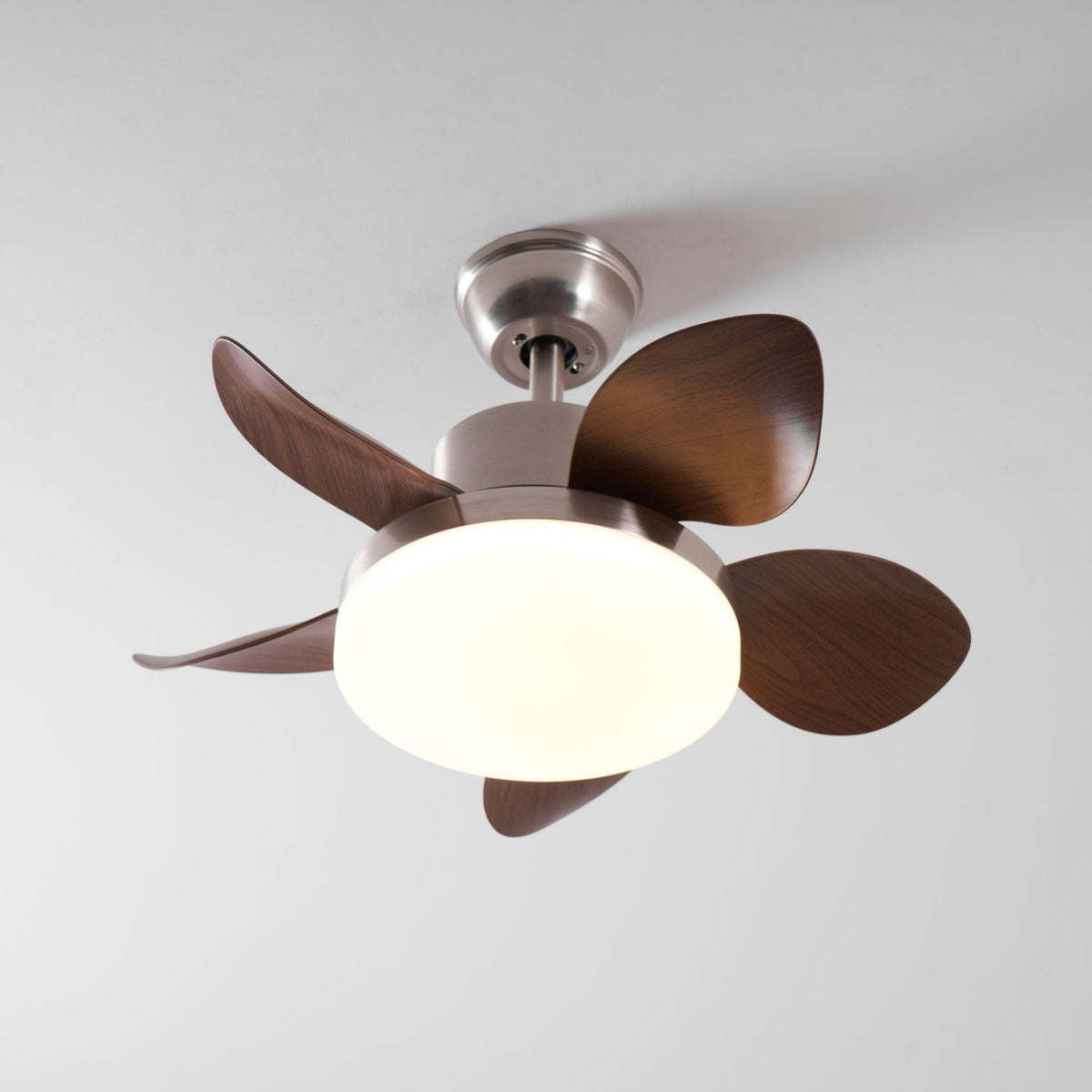 Terra Walnut Ceiling Fan Light