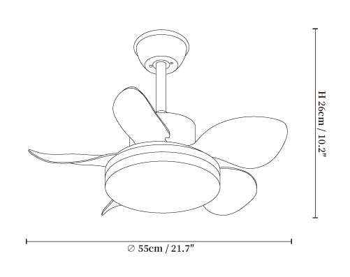 Terra Walnut Ceiling Fan Light