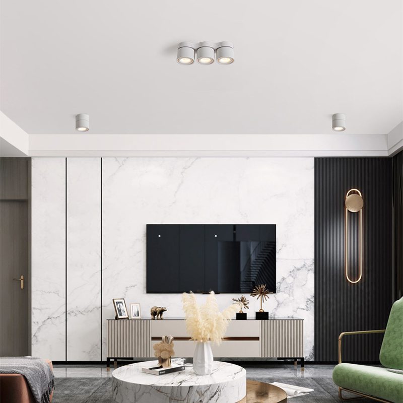 Three - heads Rotating Folding Ceiling Lamp