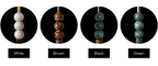 Toam Plug-in Wall Lamp