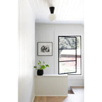 Trilo Globe Ceiling Light