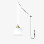 Valley flower Pendant Swag Lamp
