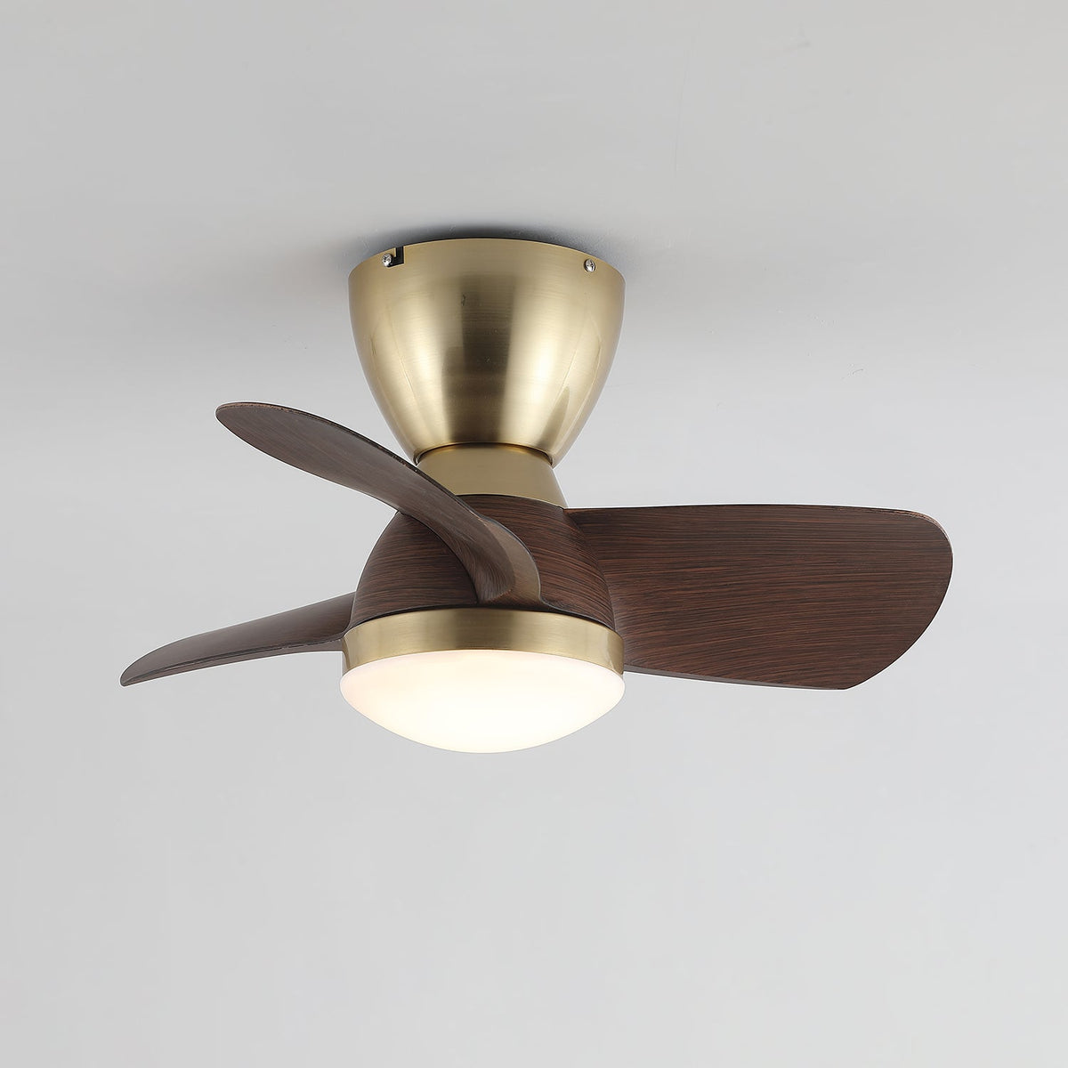 Velis Ceiling Fan Light