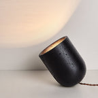 Vultrion Table Lamp