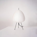 Xuanzhi Table Lamp