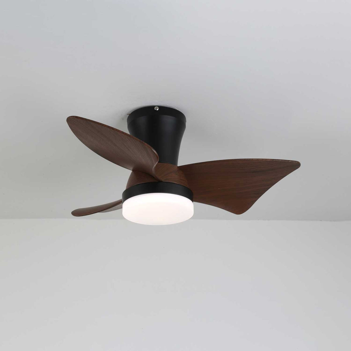 Zephyr Crest Ceiling Fan Light