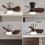 Zephyr Curve Ceiling Fan Light