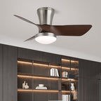 Zephyr Curve Ceiling Fan Light