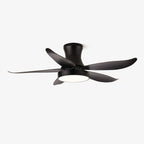Zephyr Noir Ceiling Fan Light