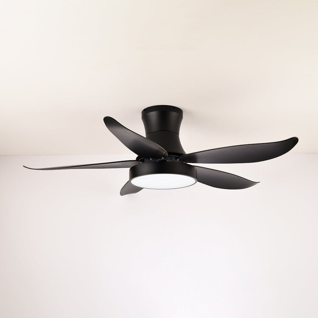 Zephyr Noir Ceiling Fan Light