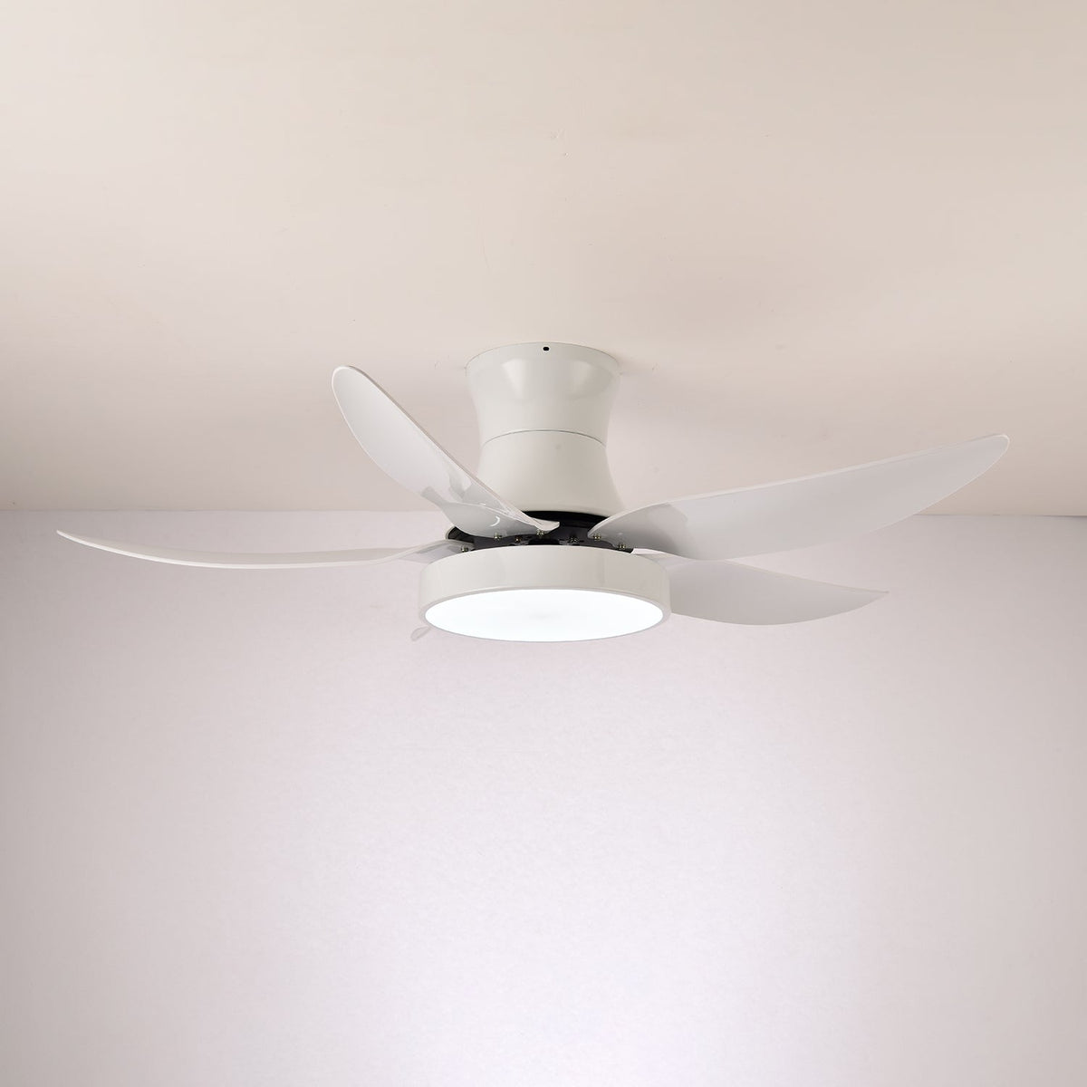 Zephyr Noir Ceiling Fan Light