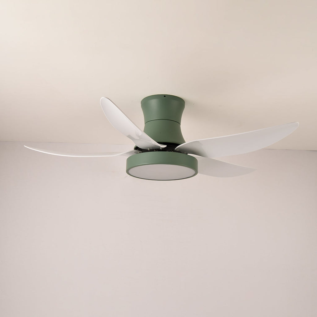 Zephyr Noir Ceiling Fan Light
