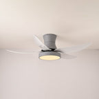Zephyr Noir Ceiling Fan Light