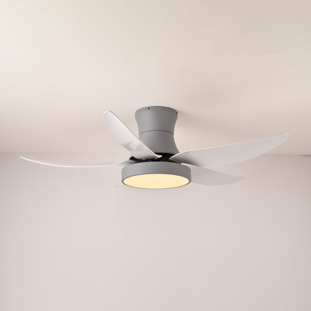 Zephyr Noir Ceiling Fan Light