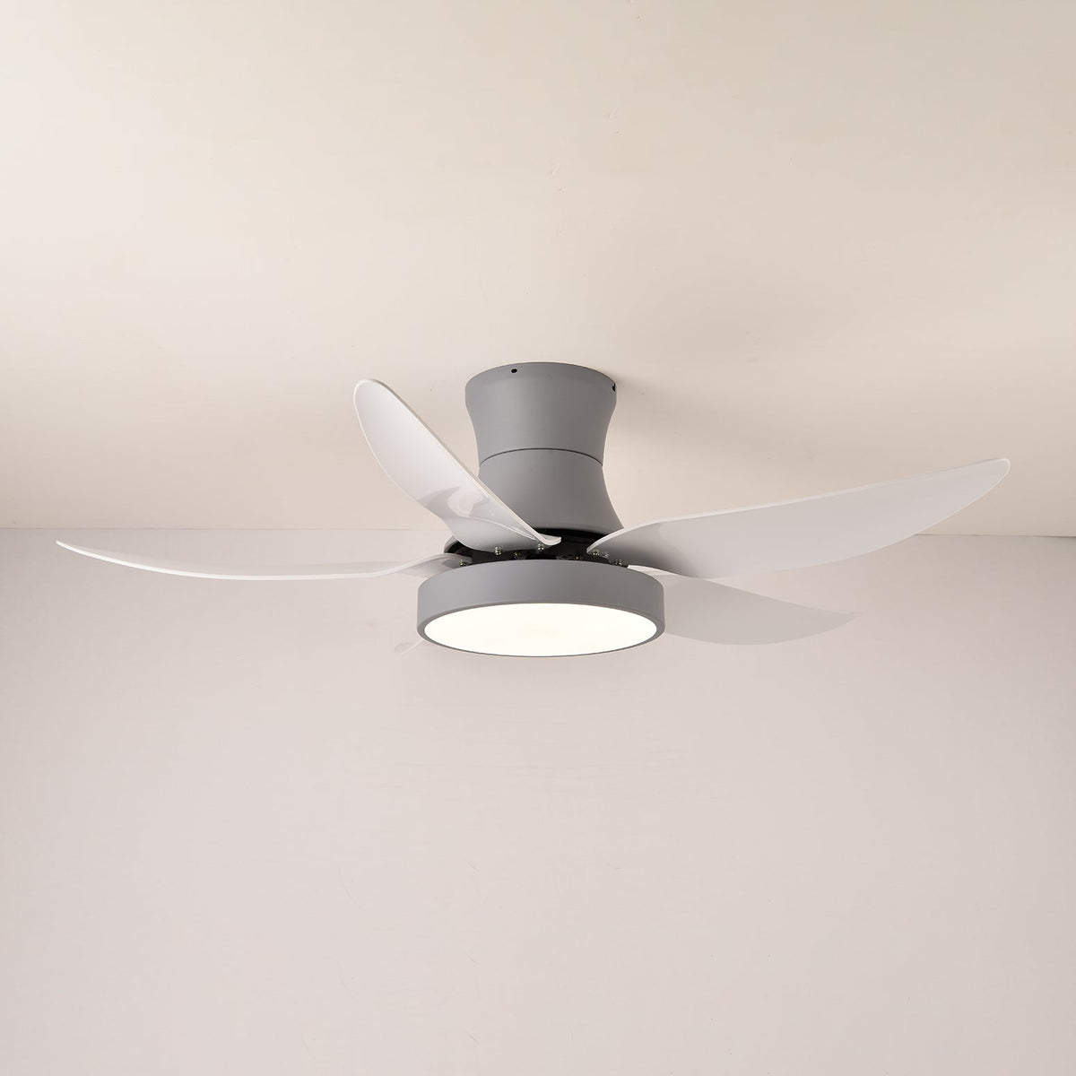 Zephyr Noir Ceiling Fan Light