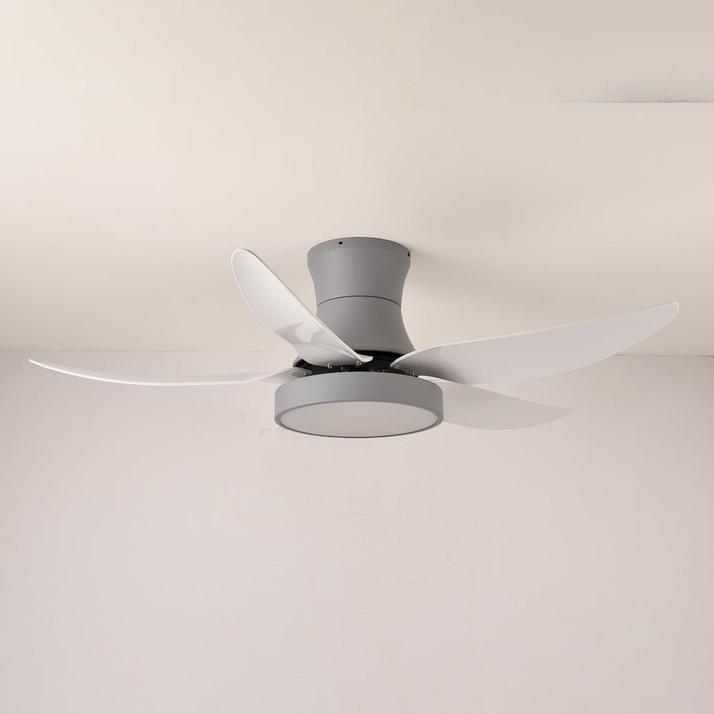 Zephyr Noir Ceiling Fan Light