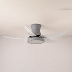 Zephyr Noir Ceiling Fan Light