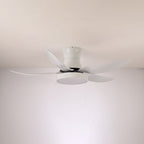 Zephyr Noir Ceiling Fan Light