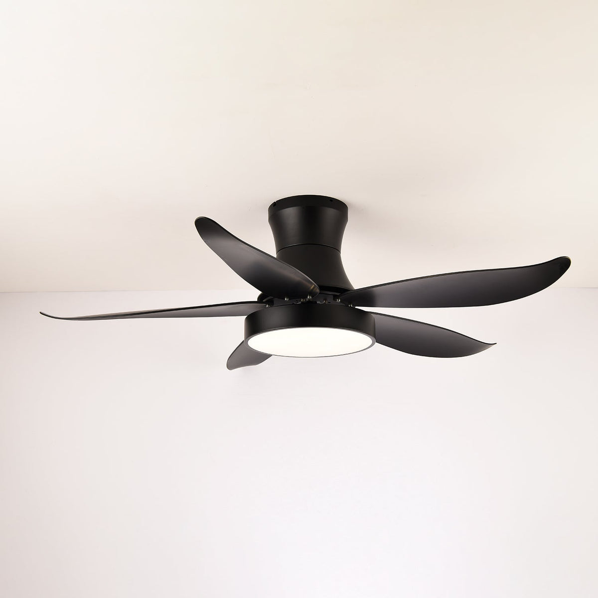 Zephyr Noir Ceiling Fan Light