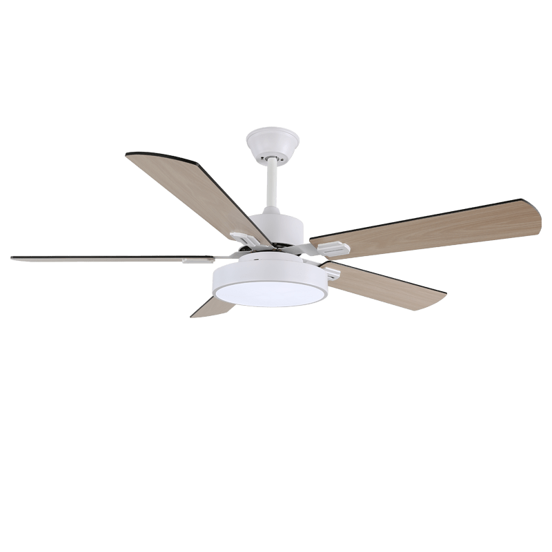 Zephyris Ceiling Fan Light