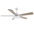 Zephyris Ceiling Fan Light